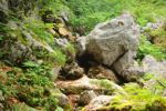 2014-07-05_Laengental-N-Hochweg (463). JPG